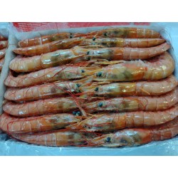 FROZEN PRAWNS AND SHRIMPS FROM ARGENTINA