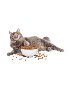 EN-cat-food