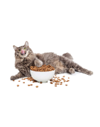 -KEDİ MAMASI