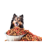 EN-dog-food