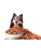 -KÖPEK MAMASI