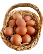 EN-egg