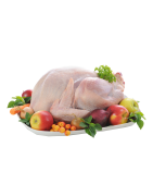 TR-CHICKEN