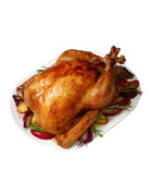 TR-turkey
